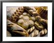 Breads Including Kugelhopfs, Pretzels And Plaited Bread, Alsace, France by John Miller Limited Edition Print