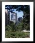 Avenida O'higgins (Alameda), Santiago, Chile, South America by G Richardson Limited Edition Print