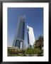 Emirates Towers, Sheikh Zayed Road, Dubai, United Arab Emirates, Middle East by Amanda Hall Limited Edition Print