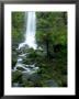 Erskine Falls, Waterfall In The Rainforest, Great Ocean Road, South Australia, Australia by Thorsten Milse Limited Edition Pricing Art Print
