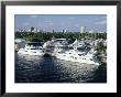 Waterways, Canals And Lagoons, Fort Lauderdale, Florida, Usa by Gavin Hellier Limited Edition Print