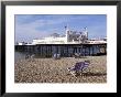 Palace Pier, Brighton, East Sussex, England, United Kingdom by Walter Rawlings Limited Edition Print