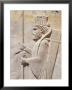 Persepolis, Unesco World Heritage Site, Iran, Middle East by Sergio Pitamitz Limited Edition Print