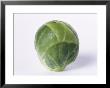 A Single Brussels Sprout by Cyndy Black Limited Edition Pricing Art Print