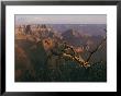 Wotans Throne Rock Formation by Walter Meayers Edwards Limited Edition Print