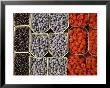 Different Berries At The Outdoor Market, Stockholm, Sweden by Nancy & Steve Ross Limited Edition Print