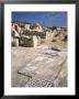 Mosaic Of The Gladiators In The House Of The Gladiators, Kourion (Curium) (Kurion), Cyprus by Tom Teegan Limited Edition Print