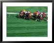 Horses Racing Around Track by Peter Walton Limited Edition Print