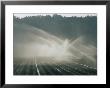 Field Irrigation, Provence Region, France by Nicole Duplaix Limited Edition Print