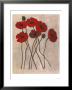 Red Poppy I by Sophia Davidson Limited Edition Pricing Art Print