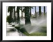 Residents Water Their Lawns by Maria Stenzel Limited Edition Print