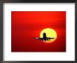 Commercial Jet And Sunset by Bill Bachmann Limited Edition Print
