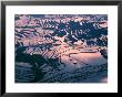 Water-Logged Rice Terraces At Sunset, Yunnan Province, China by Keren Su Limited Edition Print