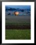 Hot Air Ballooning Over Fields, Napa Valley, Usa by Lee Foster Limited Edition Print