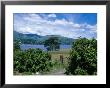 Coniston Water, Coniston Fells In Background, Cumbria, Uk by Ian West Limited Edition Print
