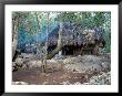 Young Girls Outside Of Their Mayan Home, Campamento Hidalgo, Mexico by Lisa S. Engelbrecht Limited Edition Print