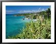 Guadeloupe, French Antilles, West Indies, Caribbean by J P De Manne Limited Edition Print