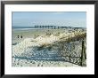 St. Augustine Beach, Florida, Usa by Ethel Davies Limited Edition Print