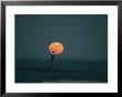 A Lighthouses Silhouette Against A Full Moon by Bill Curtsinger Limited Edition Print