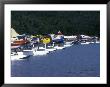 Floatplanes On Naknek Lake For Bear Viewing At Katmai National Park, Alaska by Rich Reid Limited Edition Print