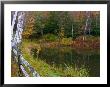 Fall Colors In The Galton Pond, Gralton, Vermont, Usa by Joe Restuccia Iii Limited Edition Print