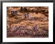 Circumcision Ceremonial Paintings On Cliff At Songo Village, Dogon Country, Mali by John Elk Iii Limited Edition Print