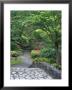 Japanese Garden Stone Bridge In Washington Park Arboretum, Seattle, Washington, Usa by Jamie & Judy Wild Limited Edition Print