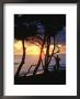 Man And Surfboard At Sunrise, Cabarete, Dominican Republic by Skip Brown Limited Edition Print