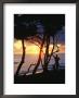 Man And Surfboard At Sunrise, Cabarete, Dominican Republic by Skip Brown Limited Edition Print