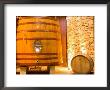 Oak Barrels, Juanico Winery, Uruguay by Stuart Westmoreland Limited Edition Print