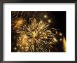 Bright And Colorful Fireworks Exploding In The Night Sky by Wallace Garrison Limited Edition Print