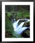 Sol Duc Falls, Washington, Usa by Mark Hamblin Limited Edition Print