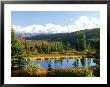 Snow-Capped Mount Mckinley And Beaver Pond, Alaska by Daniel Cox Limited Edition Print