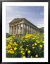 Roman-Style Ruins In Spanish Countryside With Wildflowers by Richard Nowitz Limited Edition Print