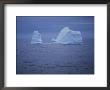 Icebergs Near The Coast Of Newfoundland by Randy Olson Limited Edition Pricing Art Print