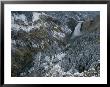 Lower Falls Of The Yellowstone River In Winter by Norbert Rosing Limited Edition Print
