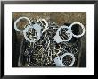 A Pile Of Chains And Handcuffs For Prisoners On A Chain Gang by Bill Curtsinger Limited Edition Print