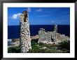 Ruins Of Copper Mine, Virgin Gorda, Virgin Gorda, Virgin Islands (Uk) by John Neubauer Limited Edition Print