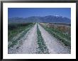 Dike Road At Bear River Migratory Bird Refuge, Great Salt Lake, Brigham City, Utah, Usa by Jerry & Marcy Monkman Limited Edition Pricing Art Print