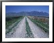 Dike Road At Bear River Migratory Bird Refuge, Great Salt Lake, Brigham City, Utah, Usa by Jerry & Marcy Monkman Limited Edition Print