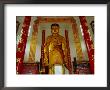 Large Golden Standing Buddha Inside Ten Thousand Buddhas Monastery, Sha Tin, Sha Tin, Hong Kong by Richard I'anson Limited Edition Print