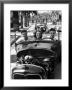 Teenage Boys And Girl, Riding In Hopped Up Convertible Car Along Palm Tree Lined Street by Nina Leen Limited Edition Print