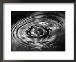 Stop Action Photograph Of Drop Of Water As It Falls And Finally Splashes by Gjon Mili Limited Edition Pricing Art Print
