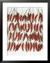 Chili Peppers Lined Up by Dorey Cardinale Limited Edition Print