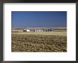 Farm On The Prairies In Cascade Country, Central Montana, Usa by Robert Francis Limited Edition Print