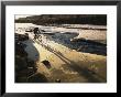 Winter Bicycling On The Partially Frozen Dolores River by Kate Thompson Limited Edition Pricing Art Print