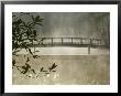 Pond In Fog With Bridge, Callaway Gardens, Georgia, Usa by Nancy Rotenberg Limited Edition Print