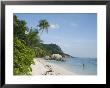 Beach And Forested Hinterland, La Digue Island by Holger Leue Limited Edition Print
