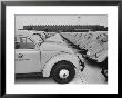 Parking Lot Outside Of Volkswagen Plant Filled With Volkswagen Cars by James Whitmore Limited Edition Print