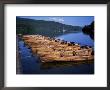Rowing Boats On Lake, Bowness-On-Windermere, Lake District, Cumbria, England, United Kingdom by David Hunter Limited Edition Print